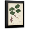 Medicinal Botany III Framed Art Print G336506