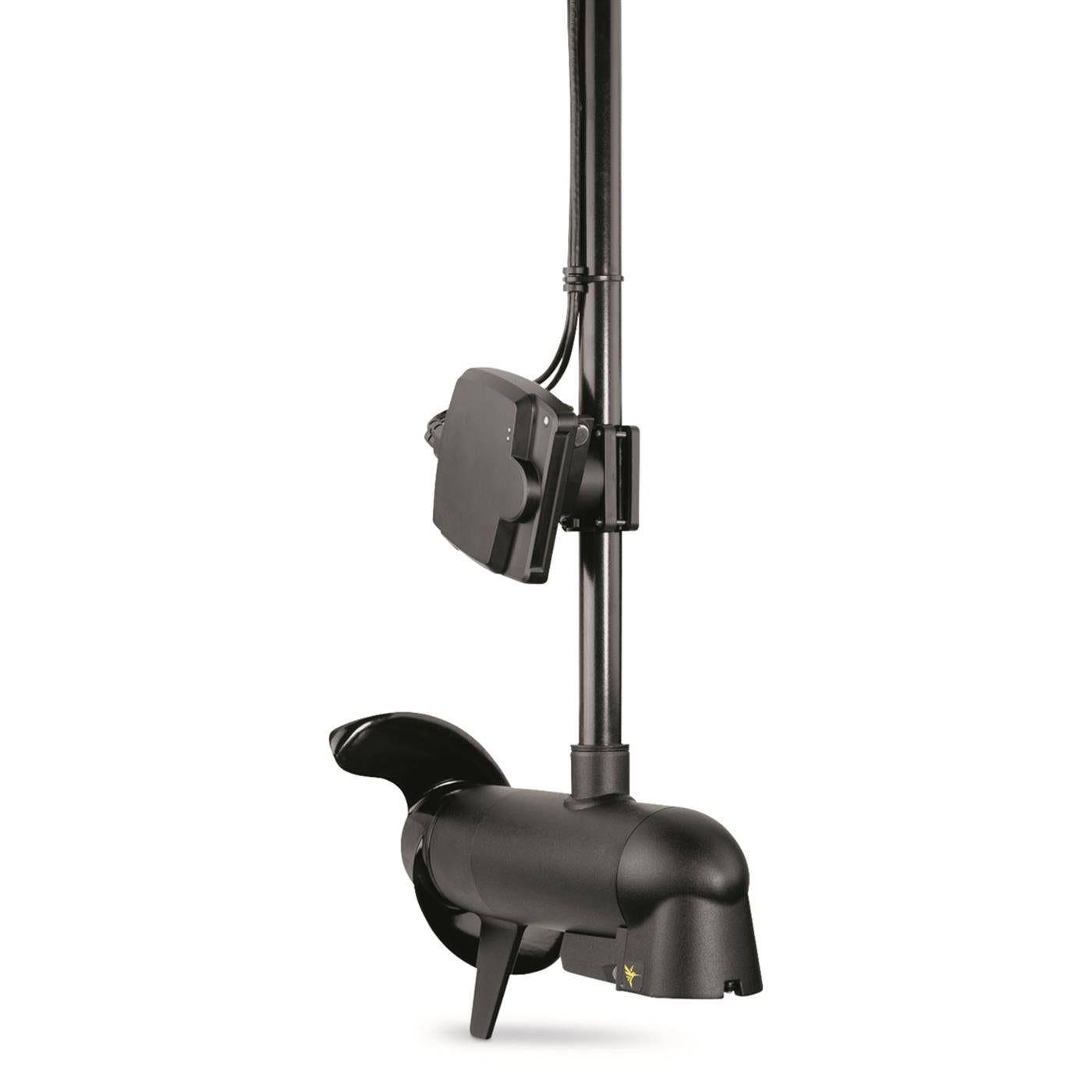MEGA Live Imaging Transducer D9553