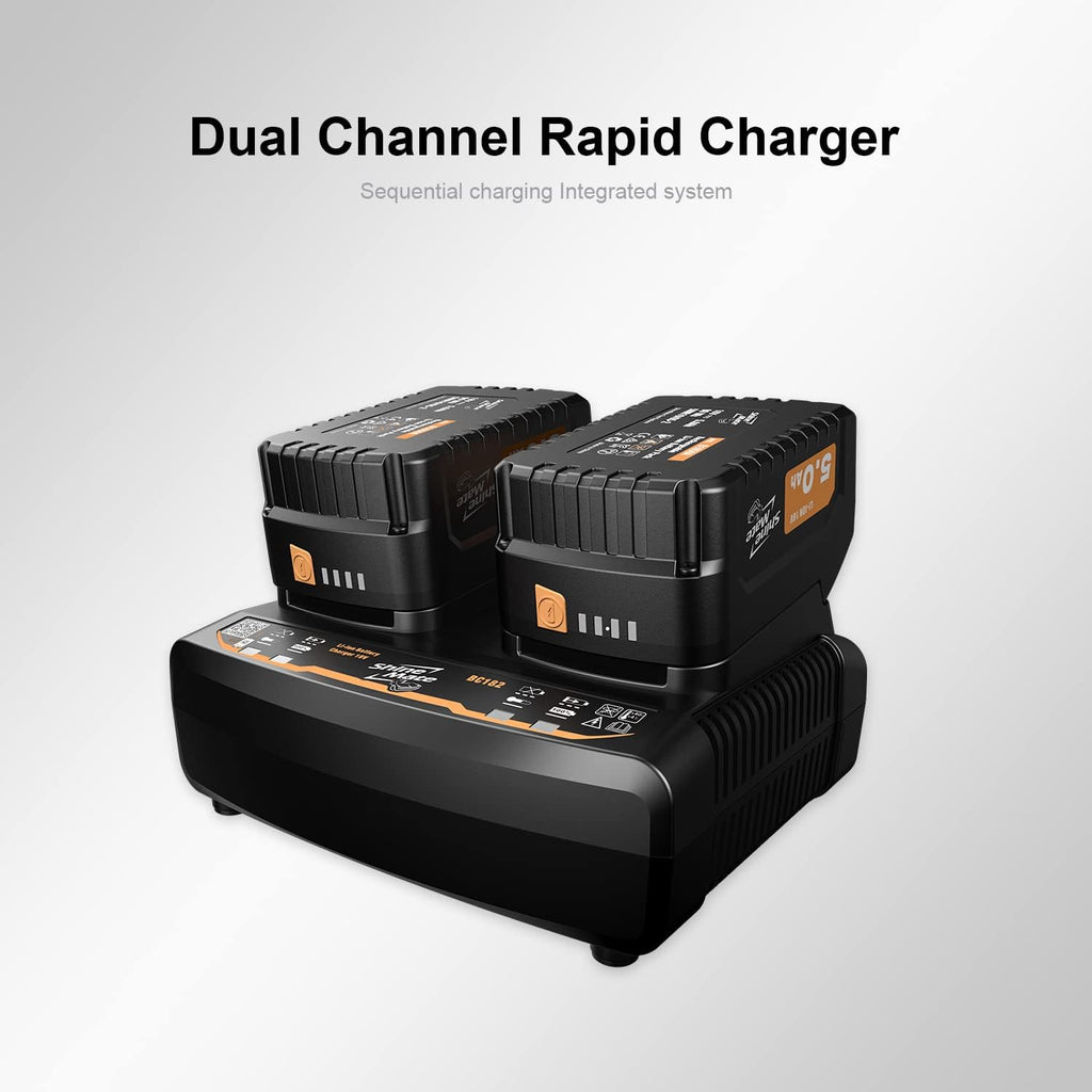 Cordless Rotary Polisher Kit 5 Inch with 2 Pcs Li-Ion Batteries 18v 5Ah Y47810