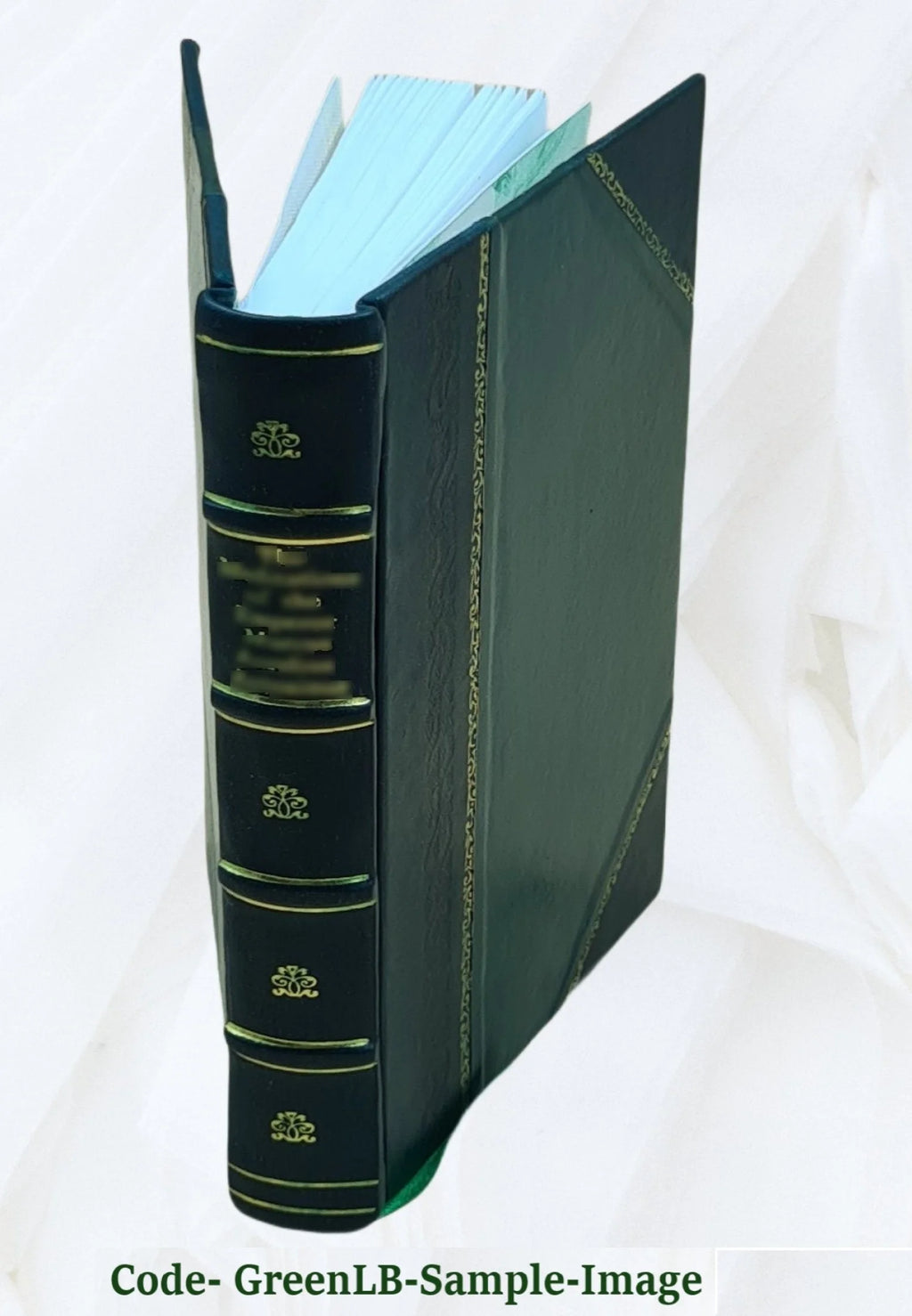Stories from Virgil by the Rev. Alfred J. Church with twenty-four illustrations 1878 Leather Bound U689343