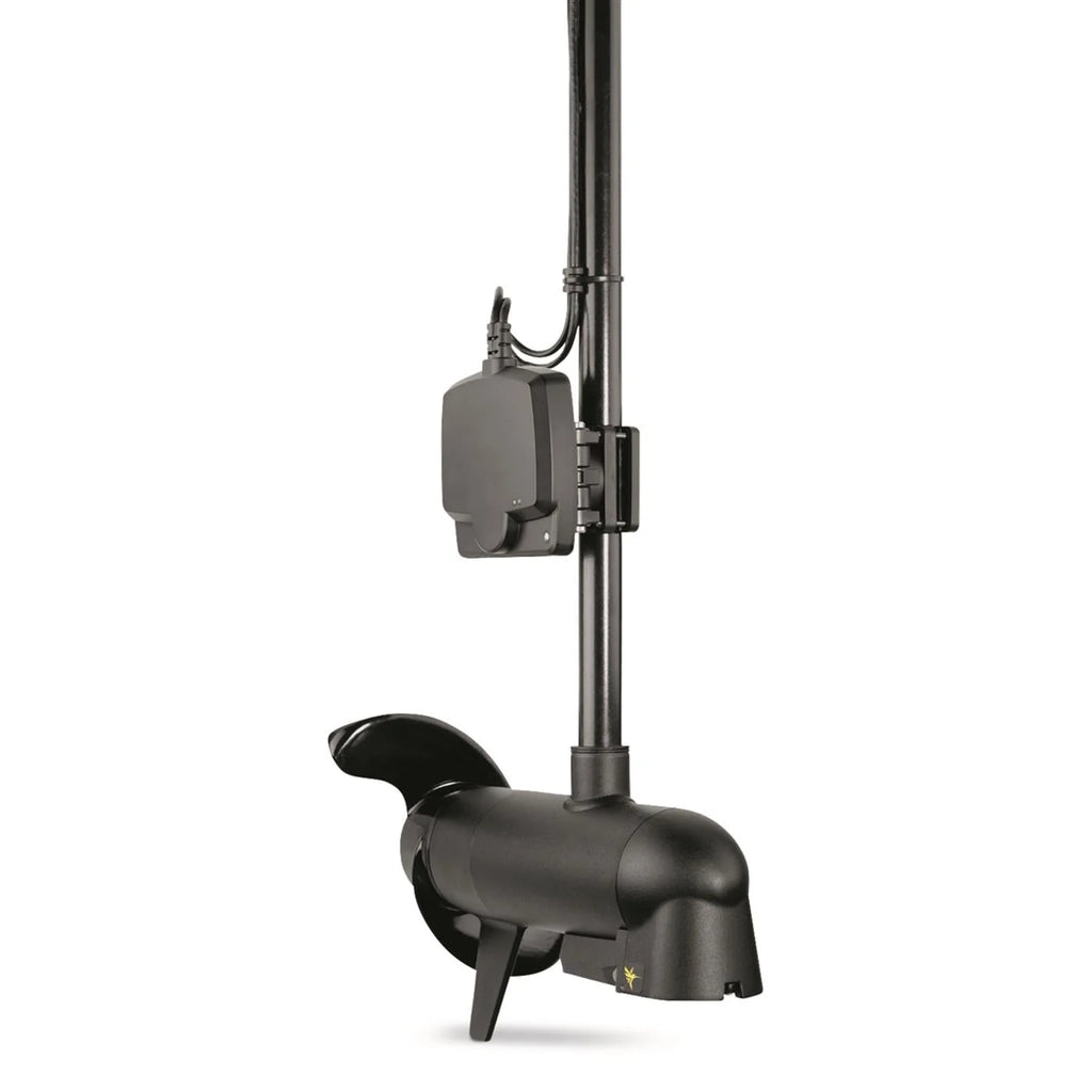 MEGA Live Imaging Transducer D9553