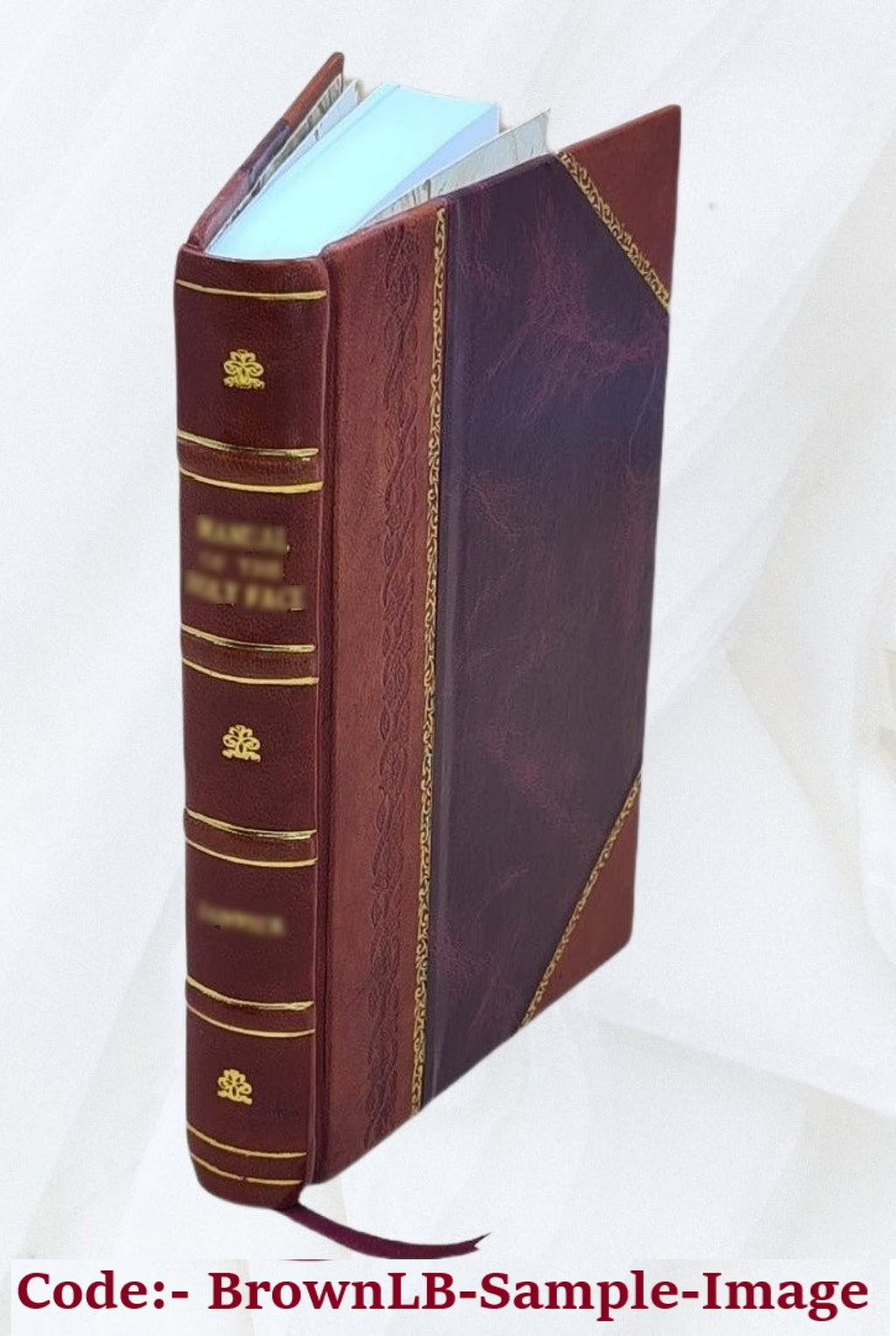 Stories from Virgil by the Rev. Alfred J. Church with twenty-four illustrations 1878 Leather Bound U689343