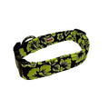 Blue Green Dog Collar Extra Large K989