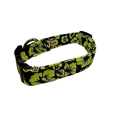 Blue Green Dog Collar Extra Large K989