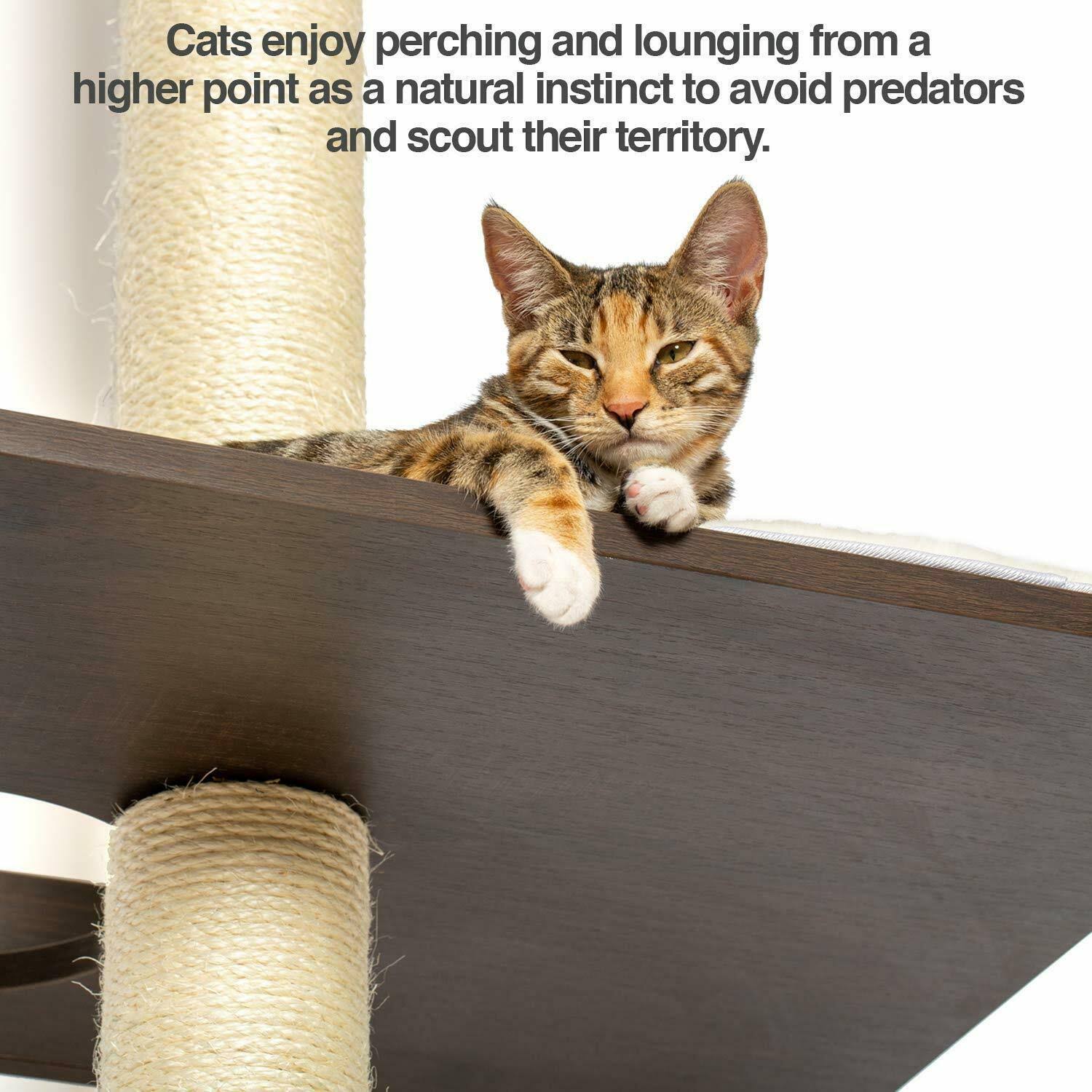 Cat Climbing Tower and Activity Tree Y8917