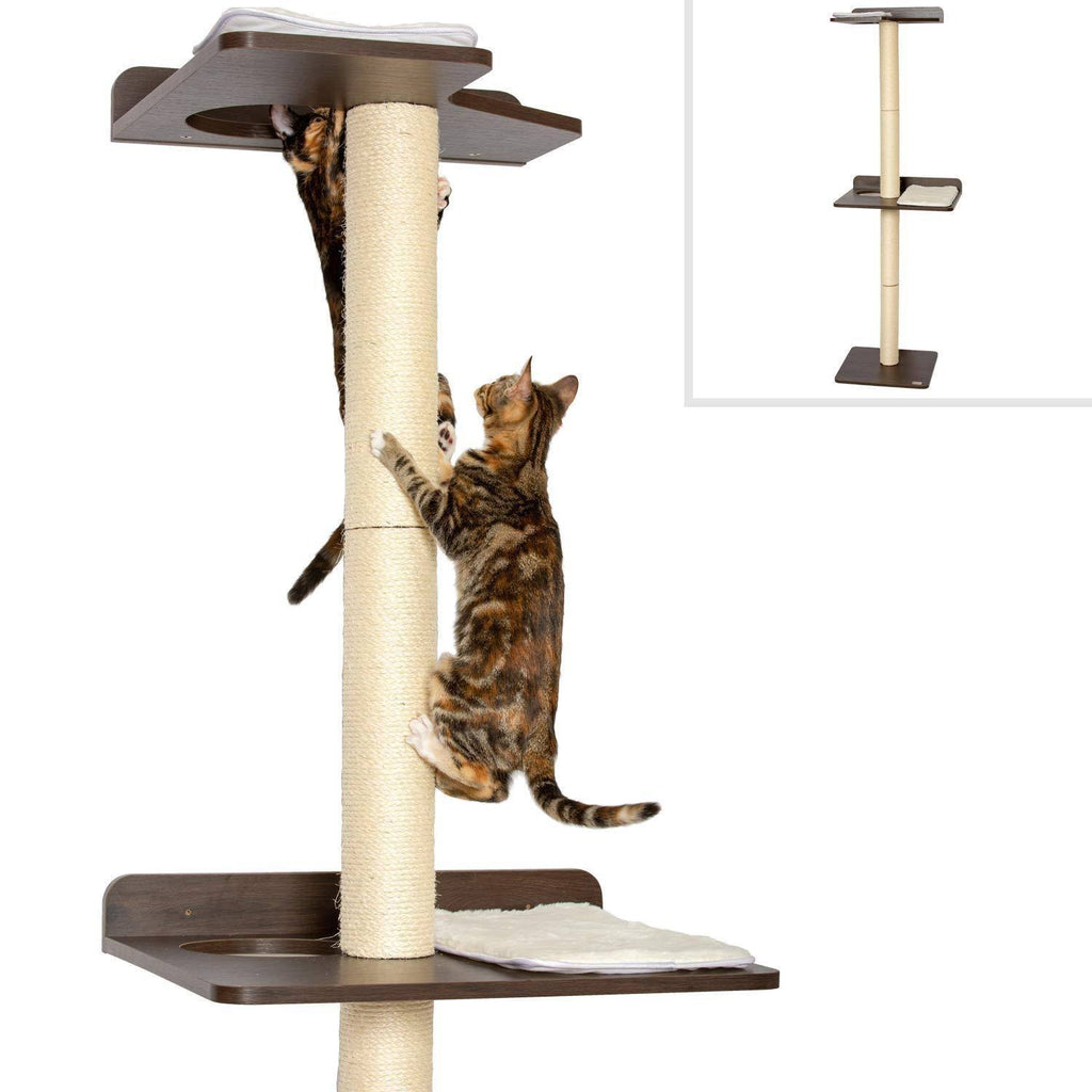 Cat Climbing Tower and Activity Tree Y8917