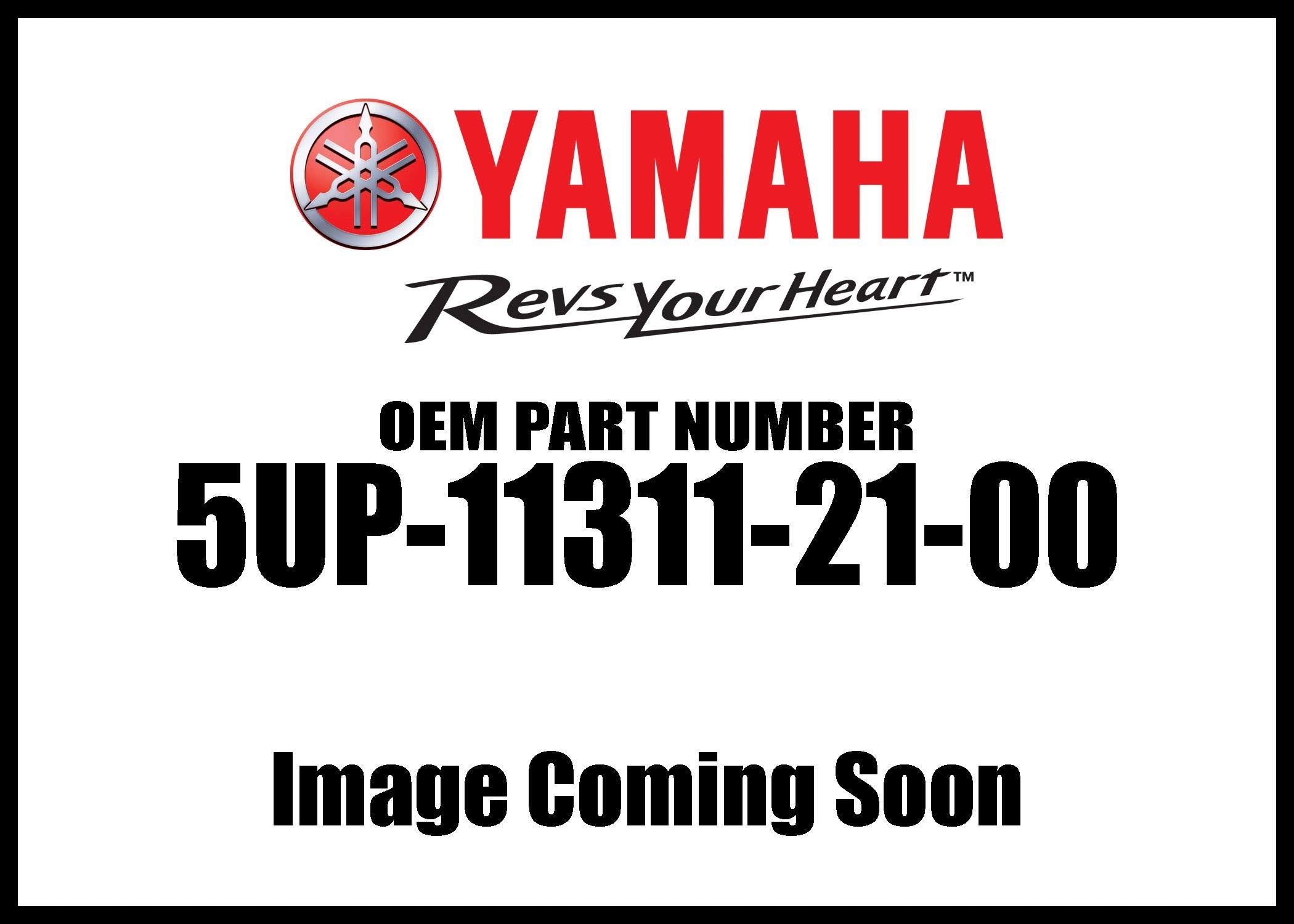 YZ250 Cylinder M383