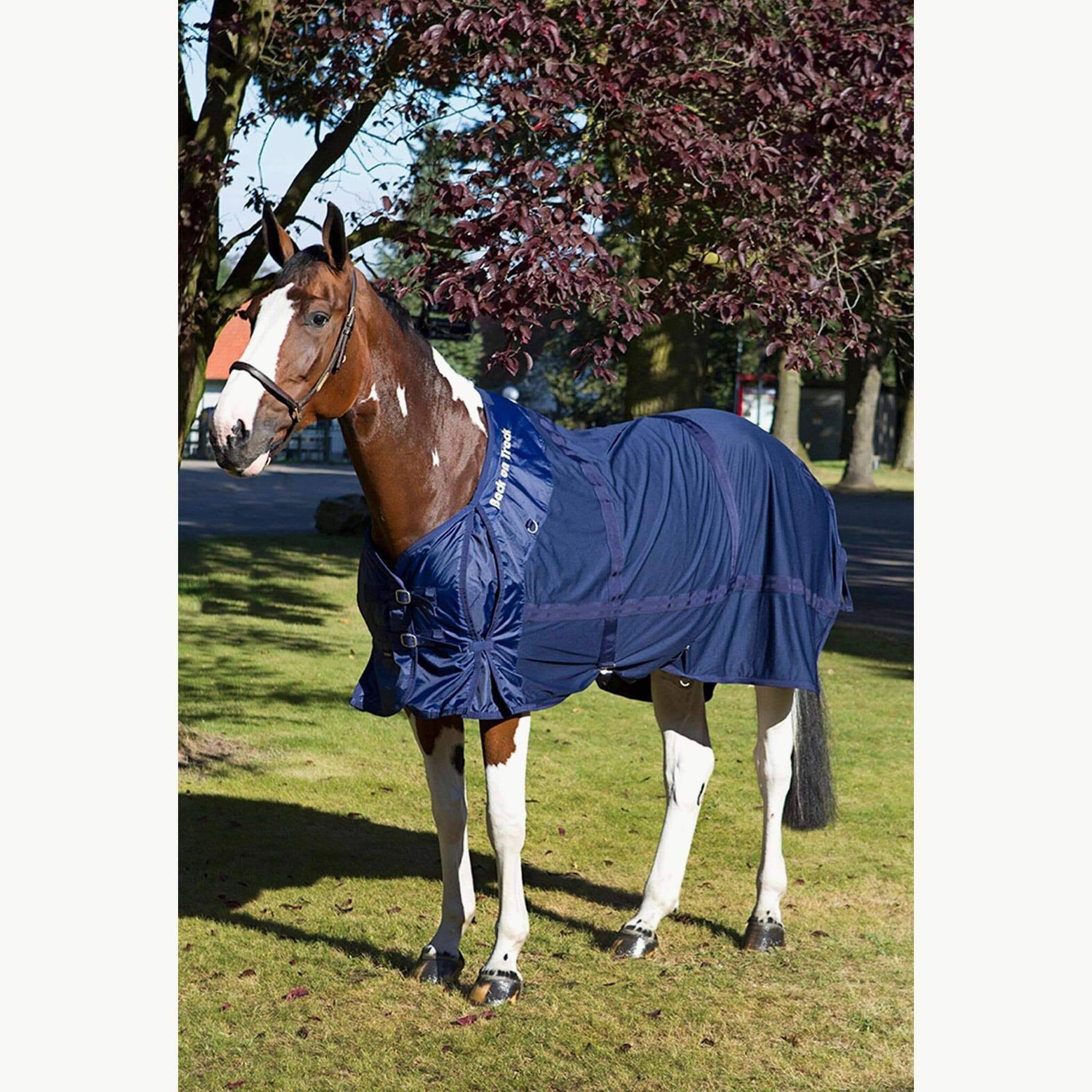 Therapeutic Mesh Horse Sheet D4031