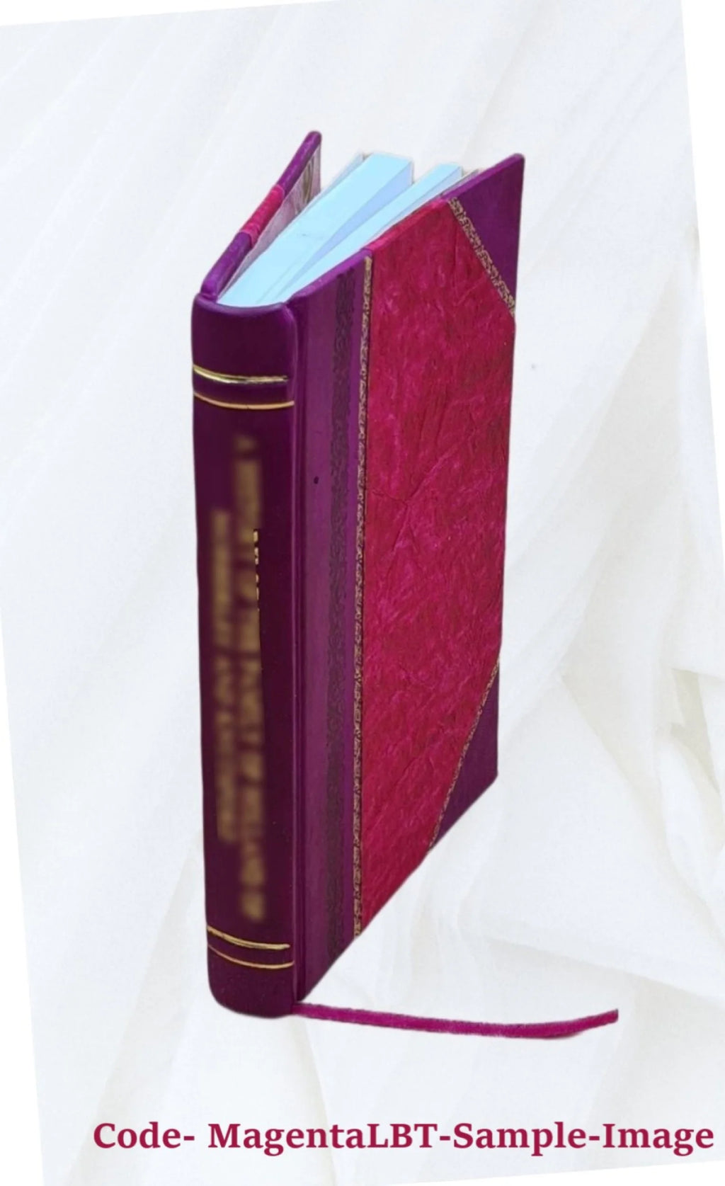 Leather Bound Book Z734