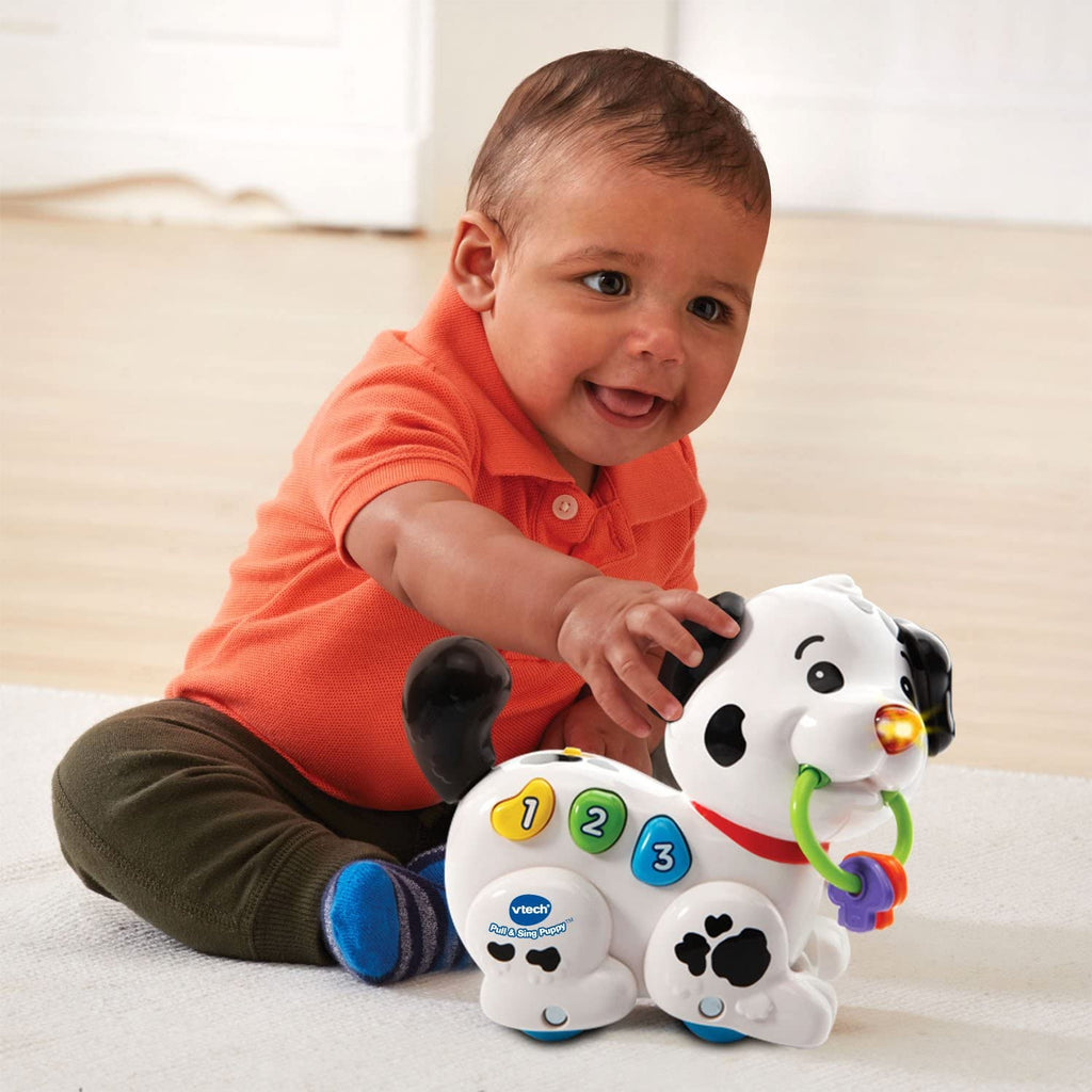 Pull and Sing Puppy M705491