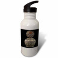 Sports Water Bottle L575