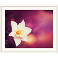 Photographic Print White Frame 27x22 H x 32x22 W x 1x22 D C645642