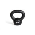 80 lb Single Kettlebell I837514