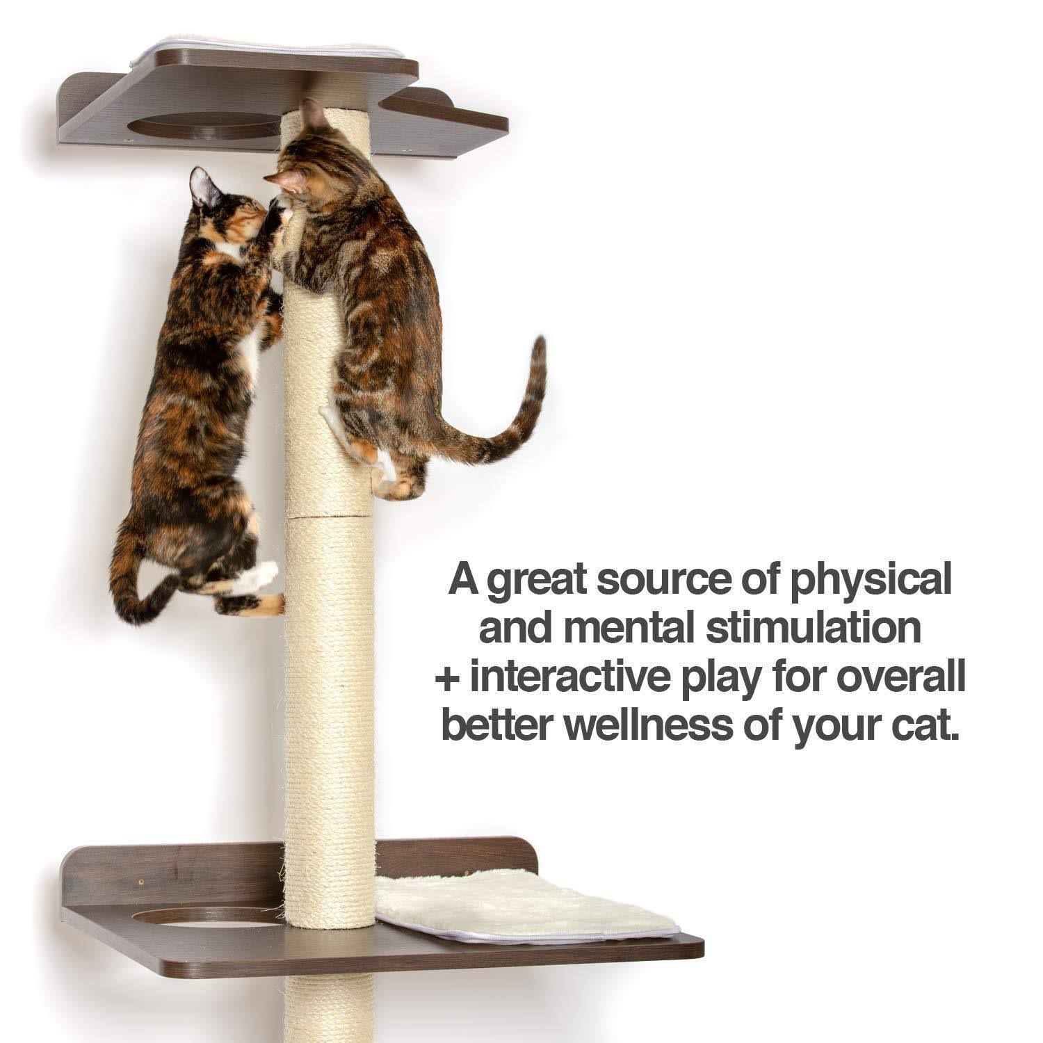 Cat Climbing Tower and Activity Tree Y8917