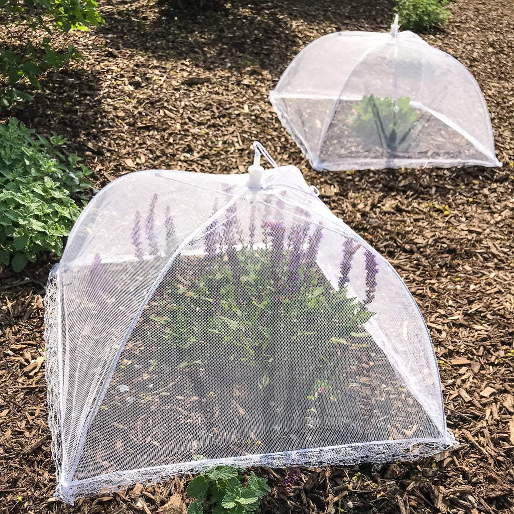 12 Pack 17x17 Pop-Up Mesh Food Covers Y360