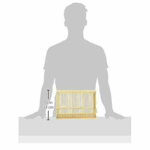 Bird Cage Made of Bamboo Japanese Cedar F974511