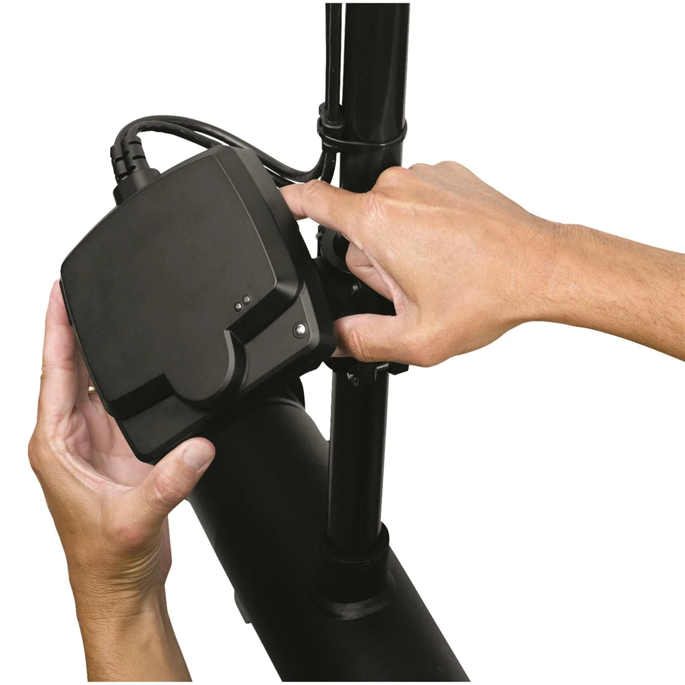 MEGA Live Imaging Transducer D9553