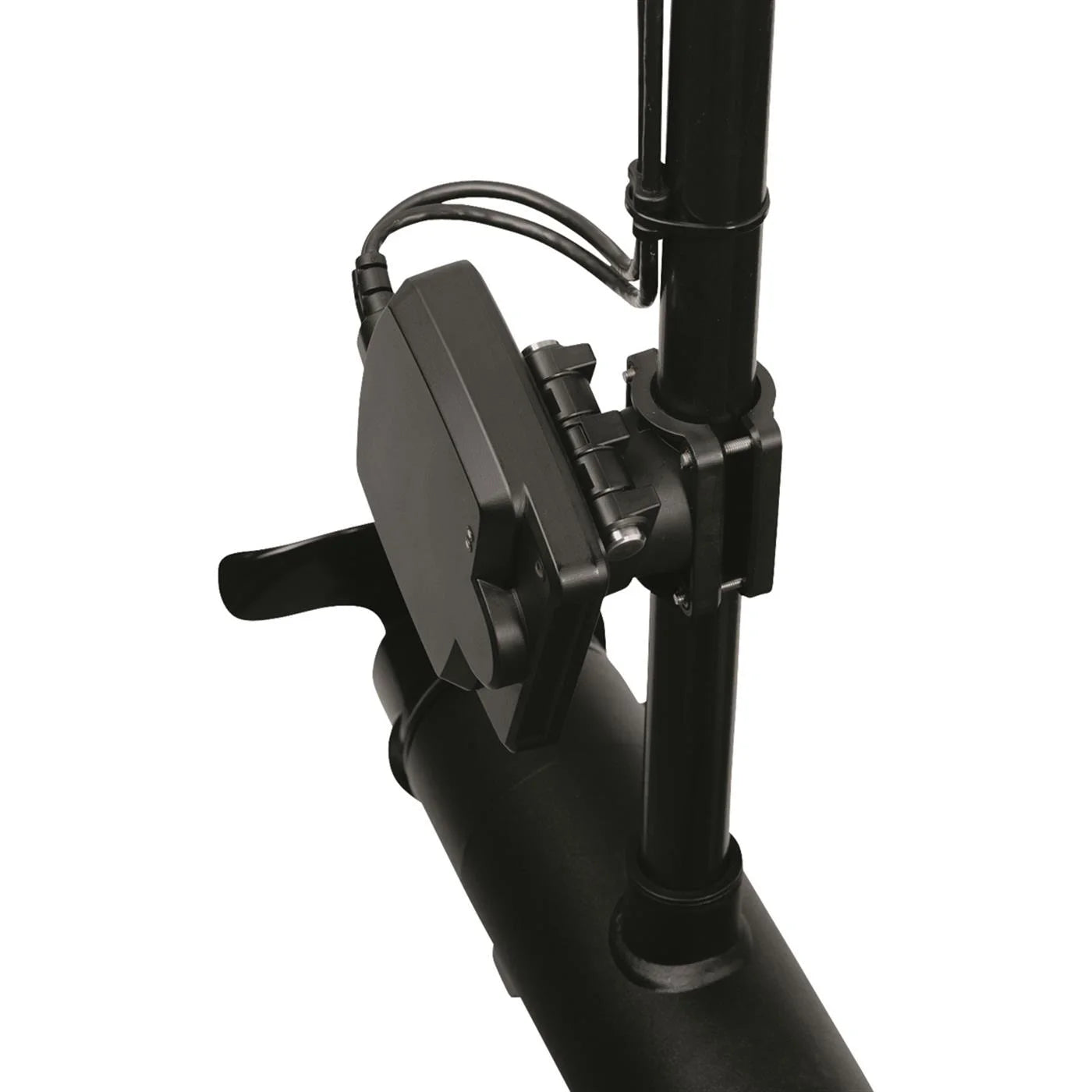 MEGA Live Imaging Transducer D9553
