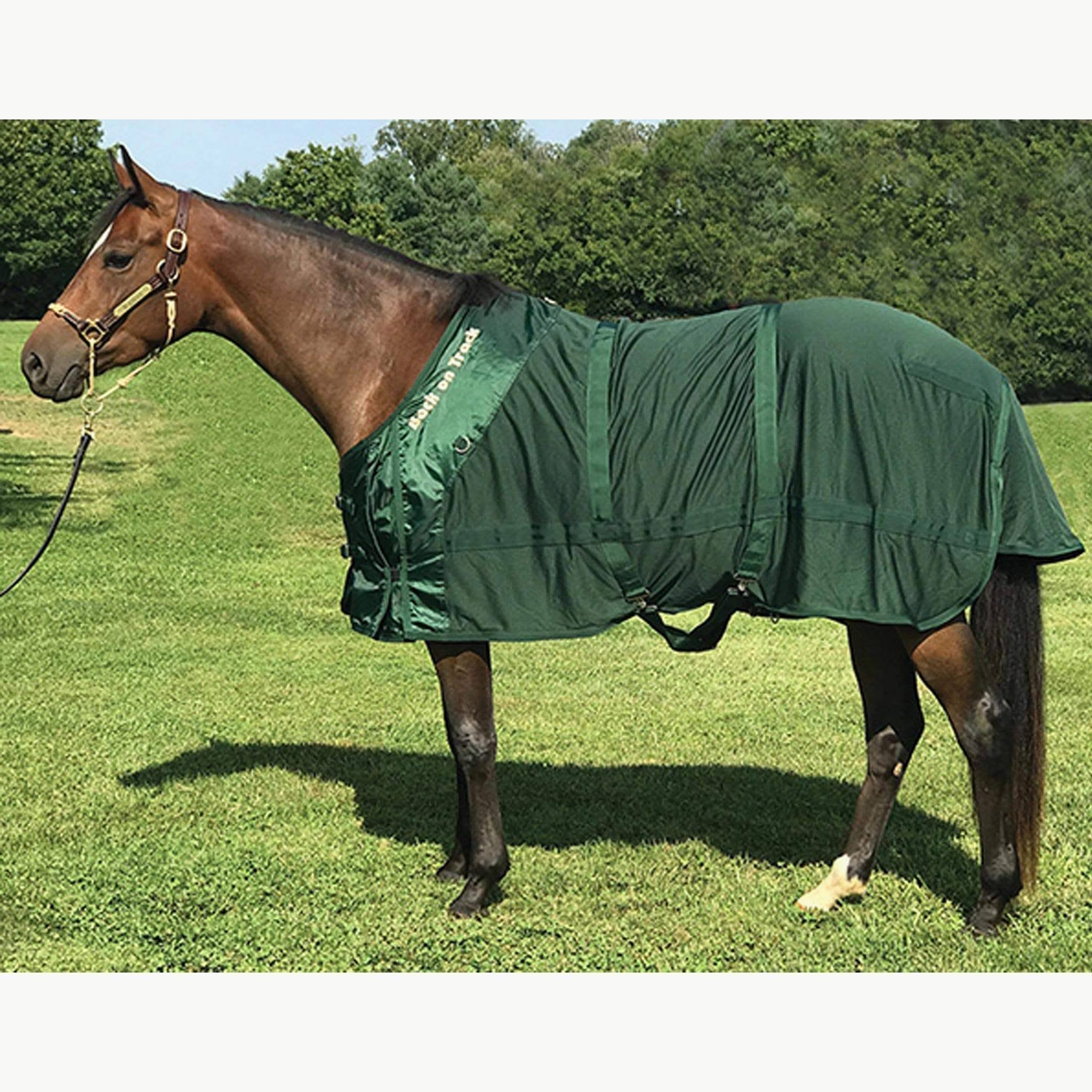 Therapeutic Mesh Horse Sheet D4031