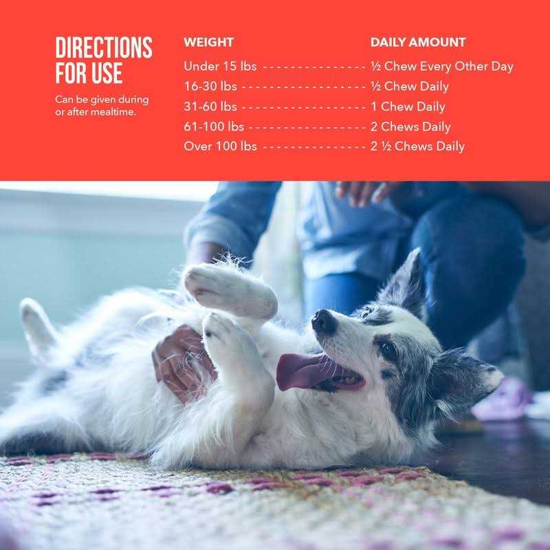 Soft Chews Joint Supplement for Dogs T84463