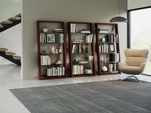 Charcoal Stained Ash Leaning Shelf with 5 Polished Tempered Glass Shelves B8380