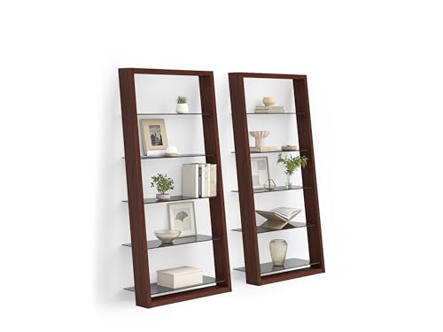 Charcoal Stained Ash Leaning Shelf with 5 Polished Tempered Glass Shelves B8380