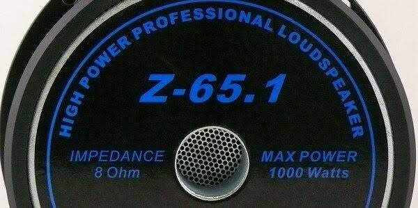 10x22 Black Subwoofer Y23203