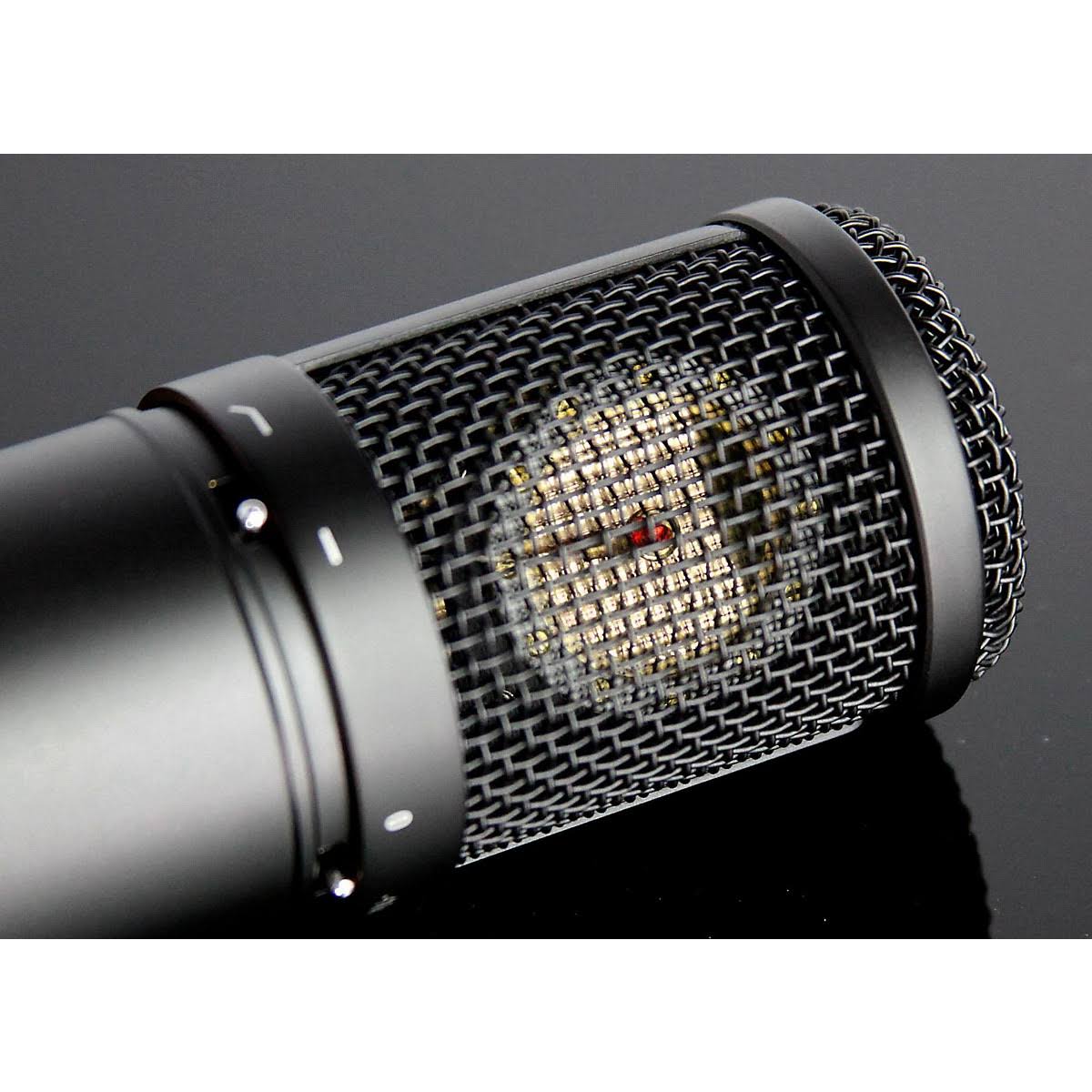 Studio Condenser Microphone V556