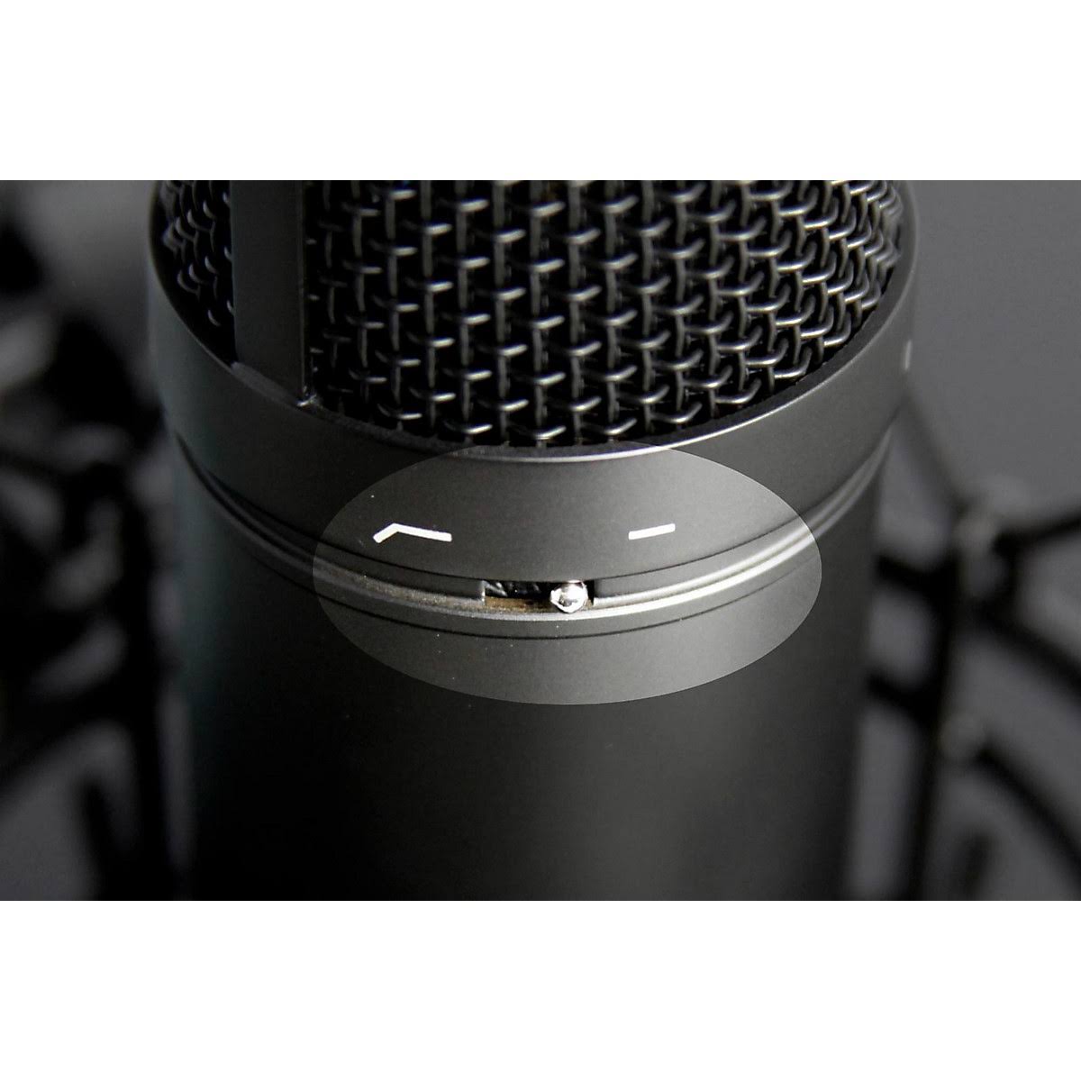 Studio Condenser Microphone V556
