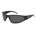 Smoked Polarized Sunglasses X377228