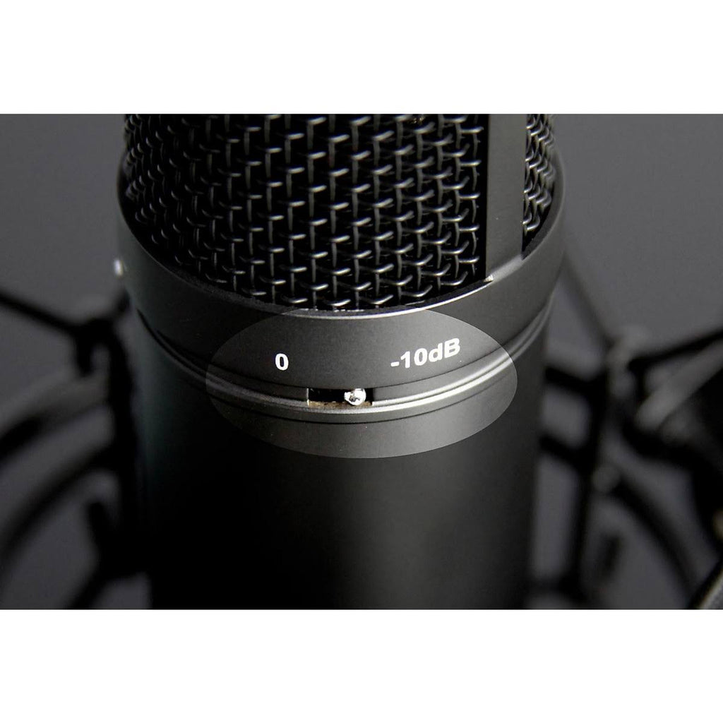 Studio Condenser Microphone V556