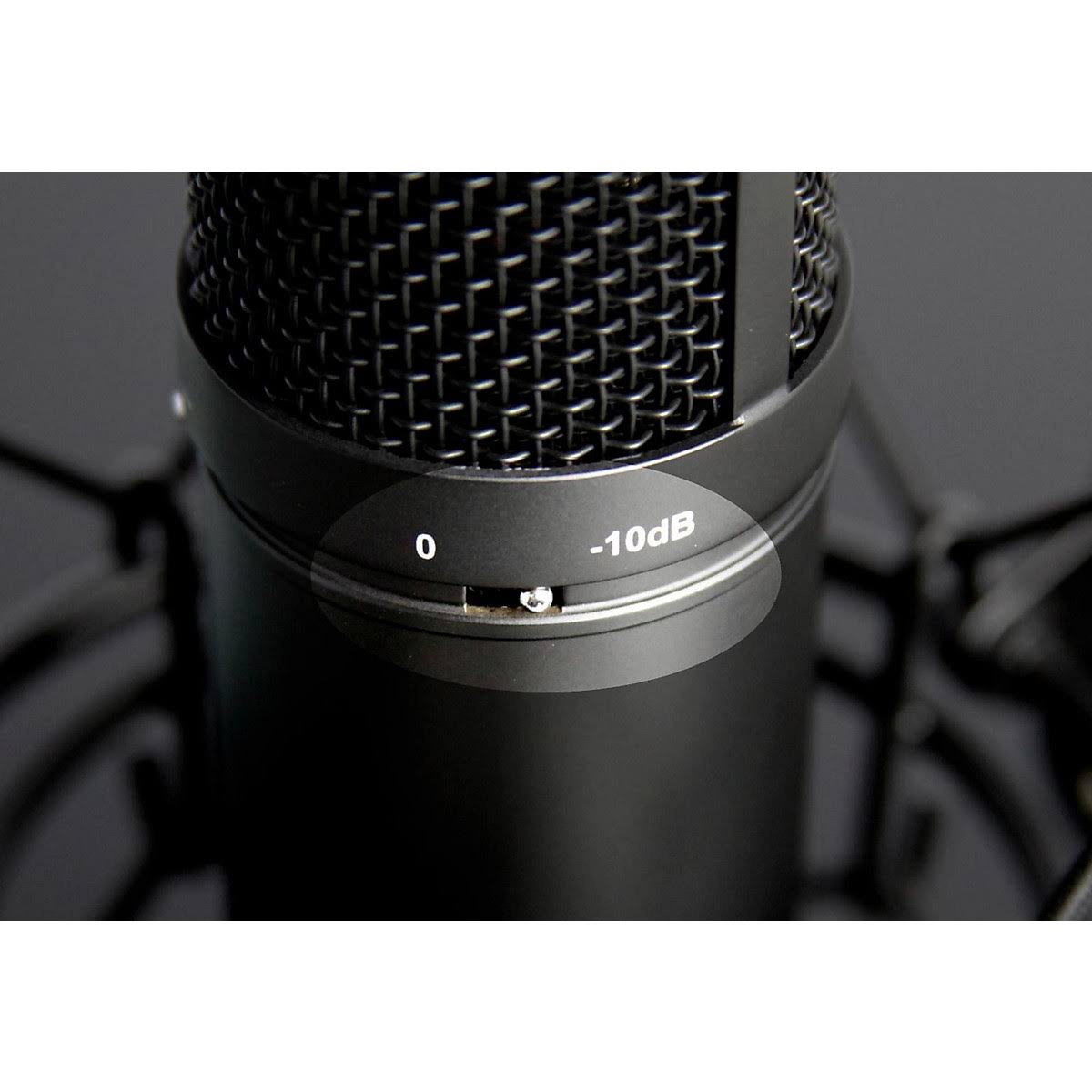 Studio Condenser Microphone V556