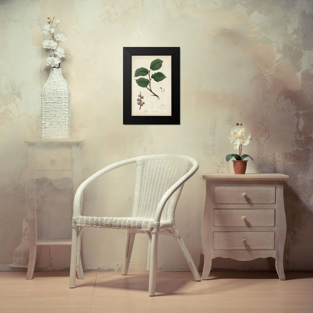 Medicinal Botany III Framed Art Print G336506