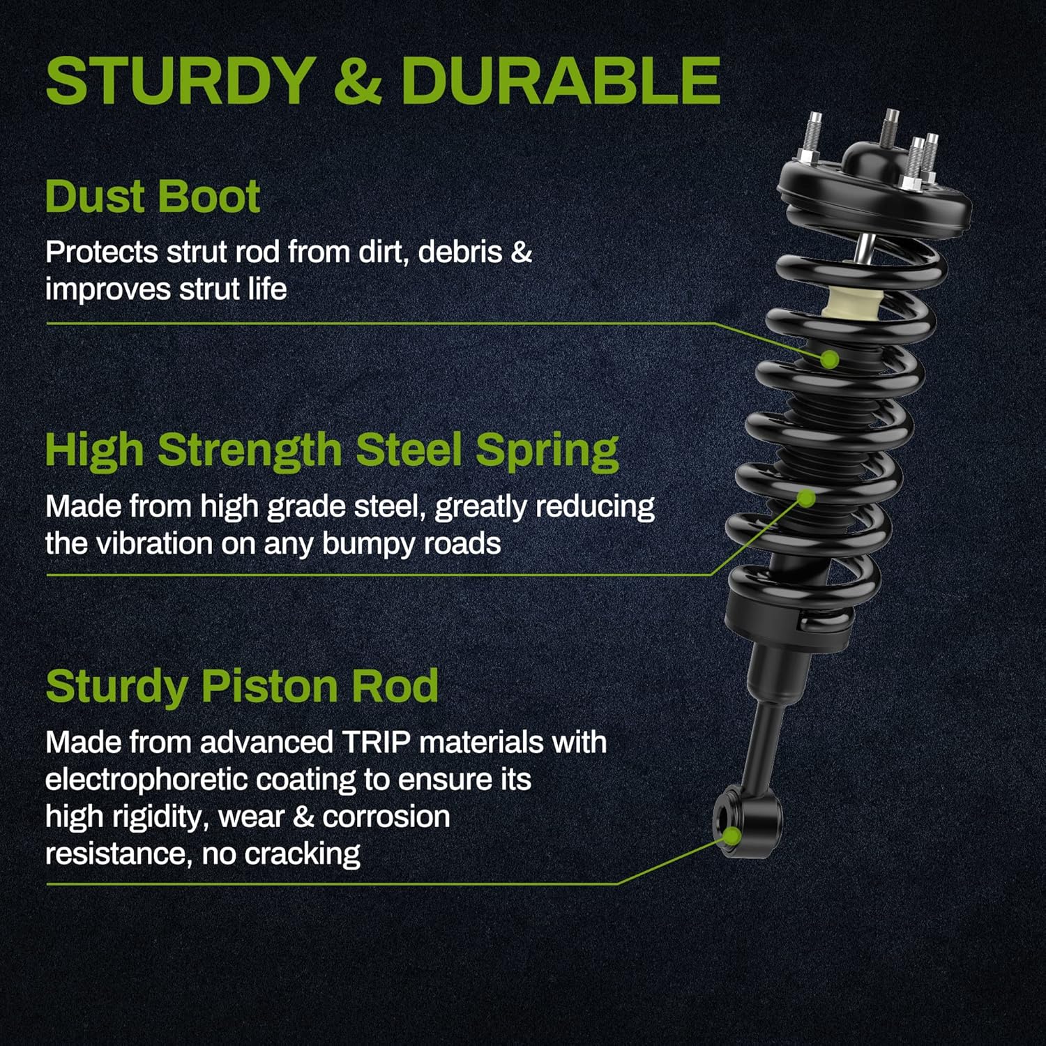 Complete Struts Front & Rear Shock Absorber E455